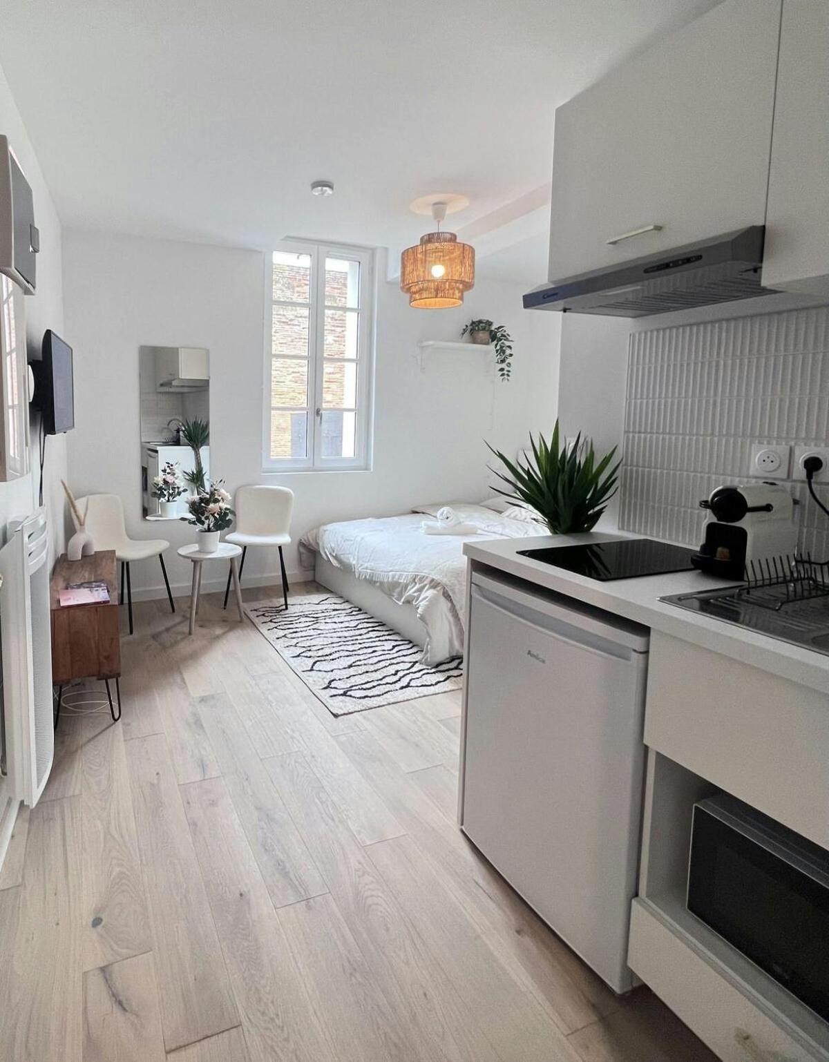 Apartamento Le Saphir Toulouse Exterior foto